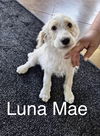 Luna Mae  *