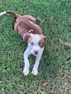Bennie *