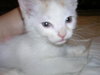 Casper