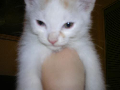 Casper