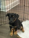 Athena *