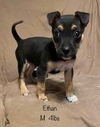 Ethan *