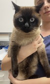 Charles (Catsby) *