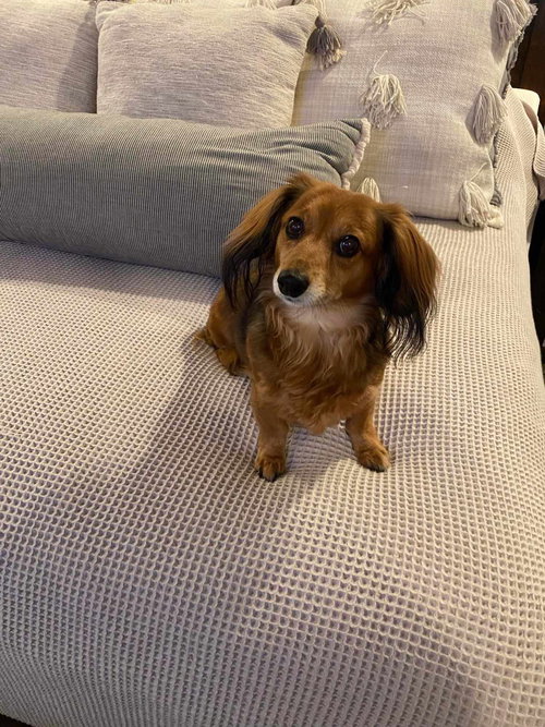 Gracie Lou