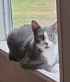 Gracie *