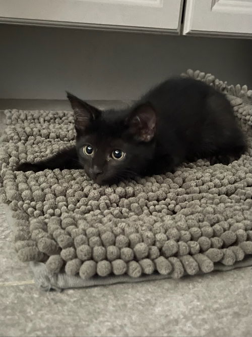 Kali *