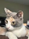 Milly *