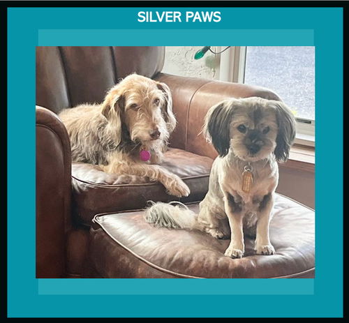 Bucky and Gidget *