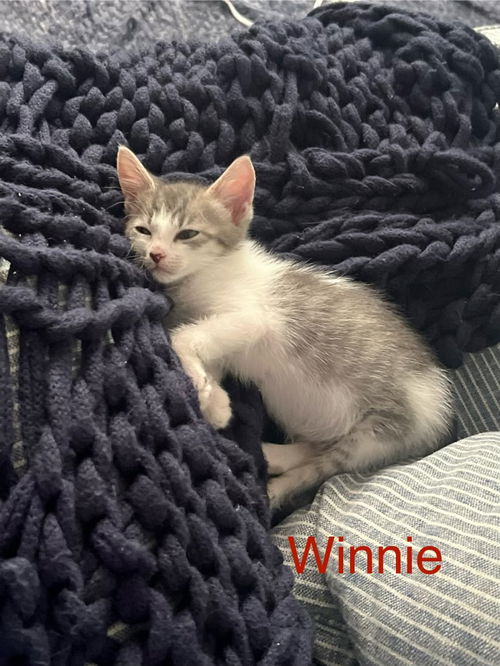 Winnie *