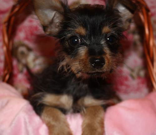 Winnie