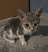 Yuki *