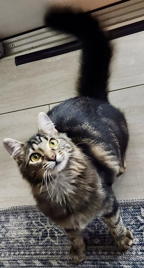 Mia *
