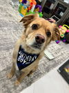 Tucker