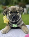 Lucy