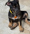 Kaia *