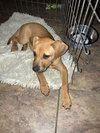 Rayna*