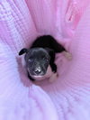 Edna