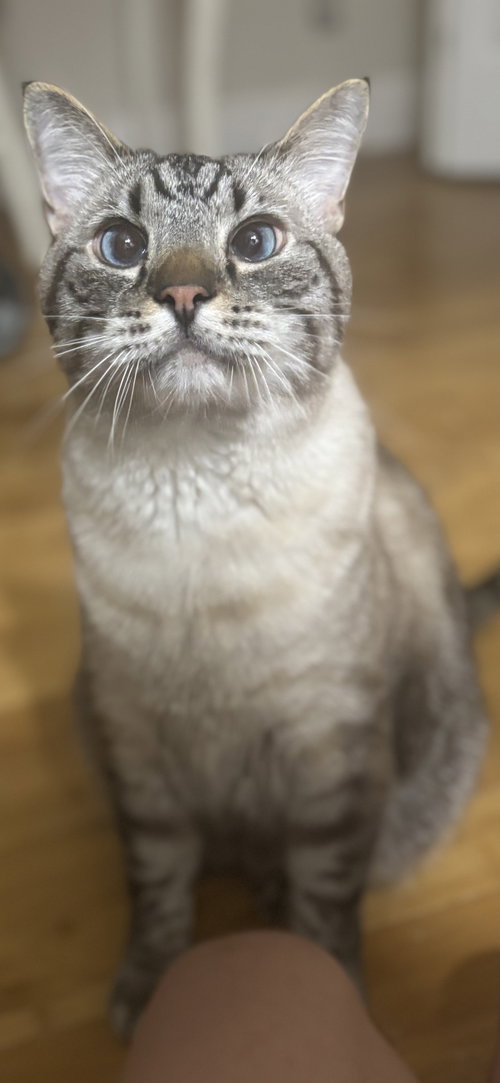 Carlos