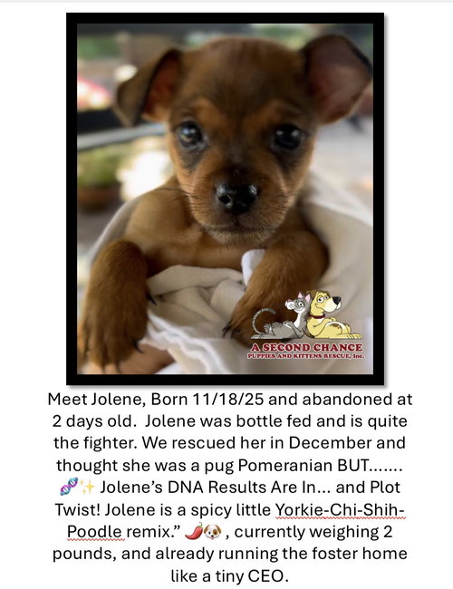 Jolene
