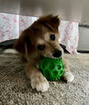 Nyla