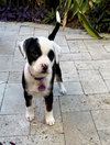 Kona *