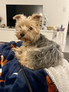 Suzie