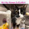 Elara