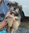 Charlie