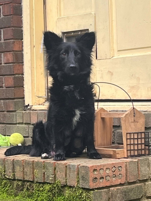 Rosie *