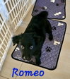 Romeo *