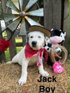Jack *