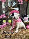 Jolene *