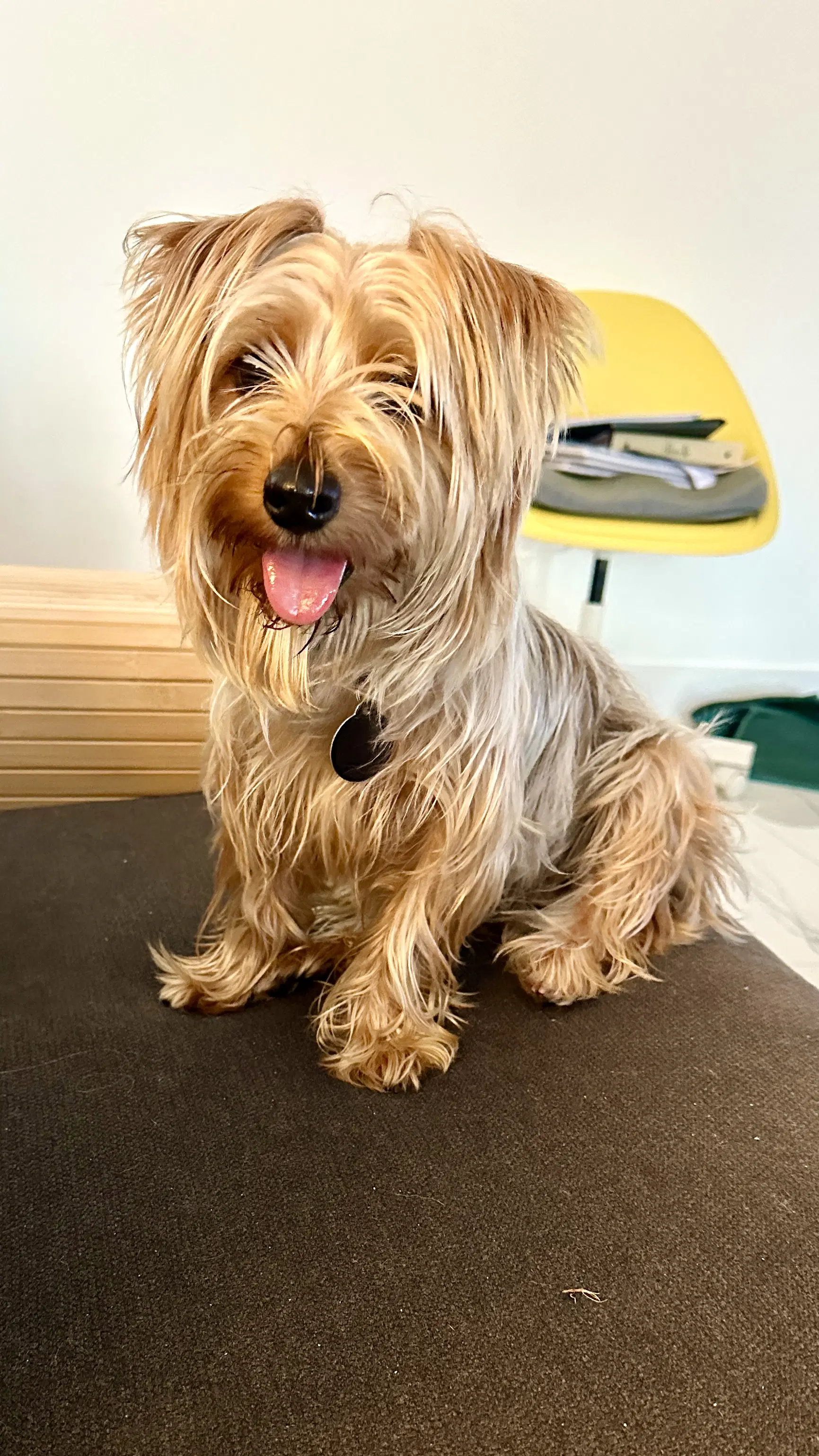 Charlie image 1