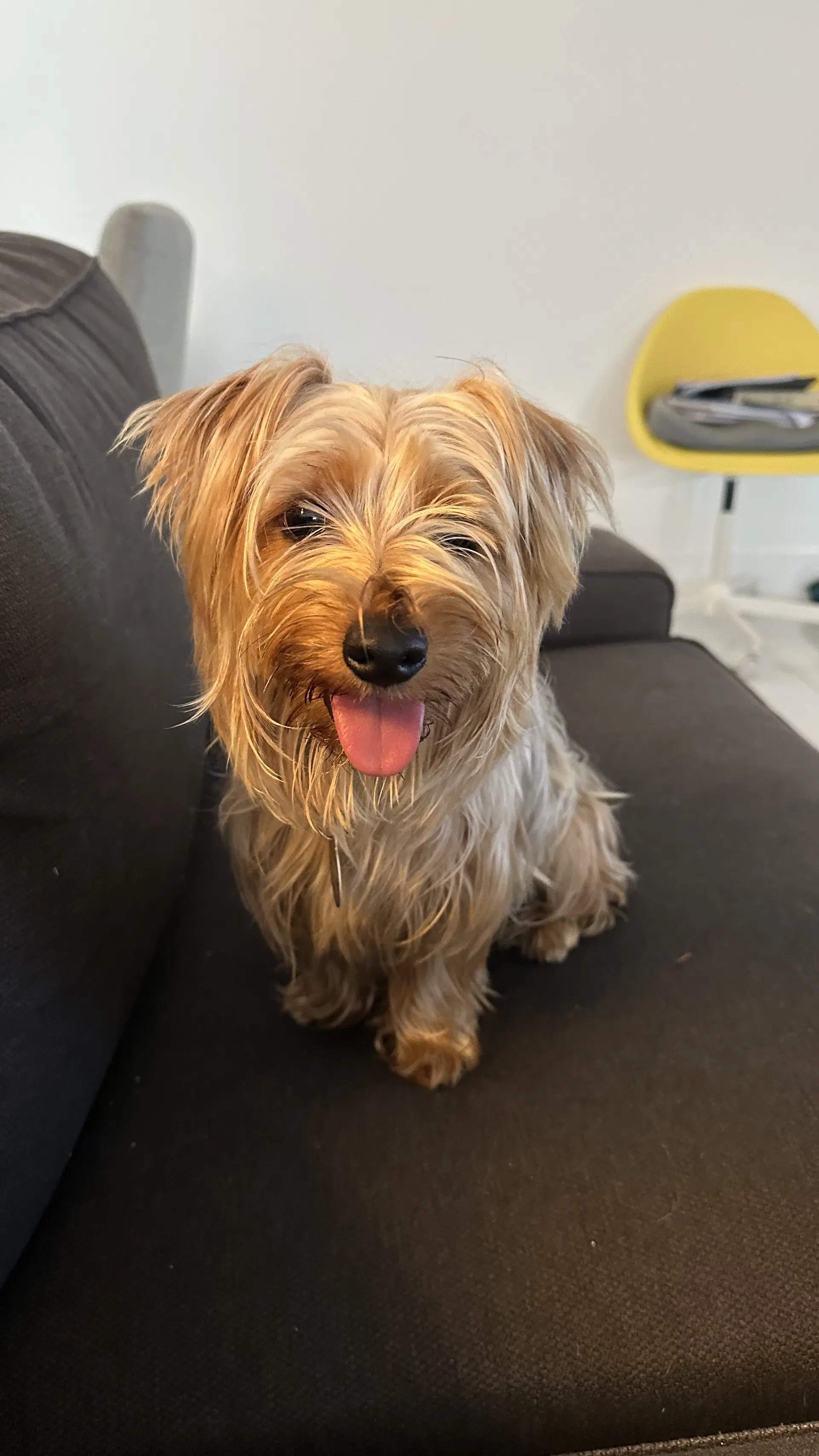 Charlie image 2