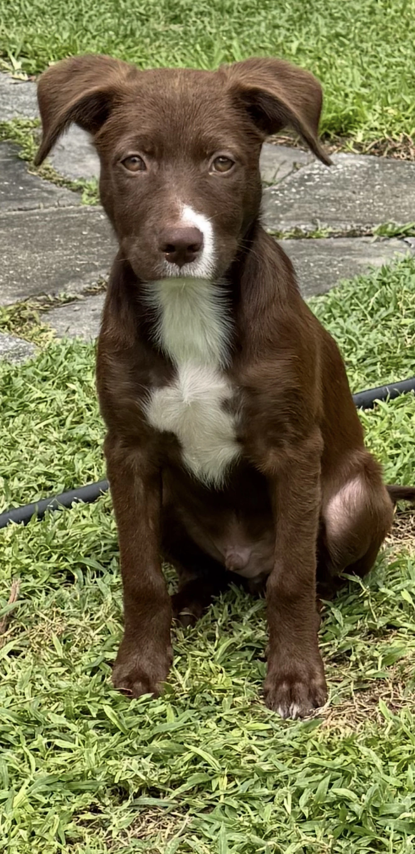 Wally