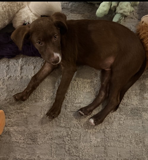 Photo 3 of Wally *