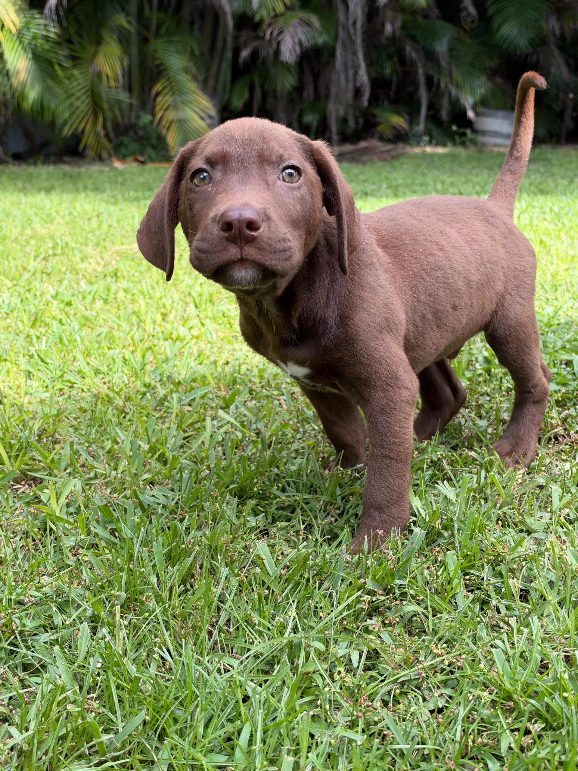 Hank image 4
