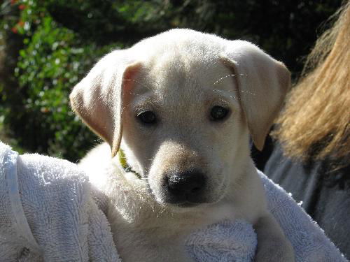 Winnie