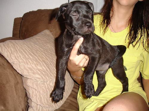 Emmie