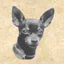 Chico