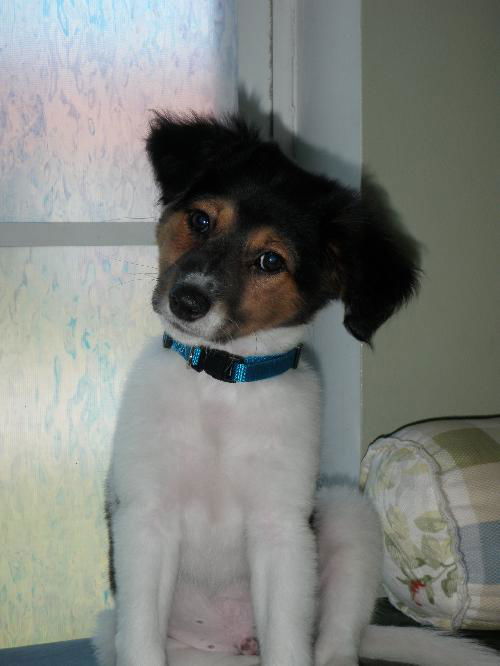 Max
