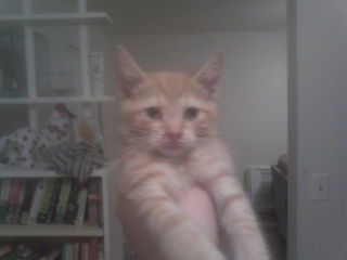 George