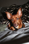 Java