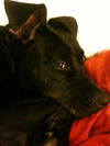 Marleigh