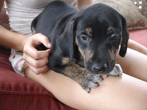 Max