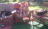 Cooper