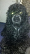 Stanley