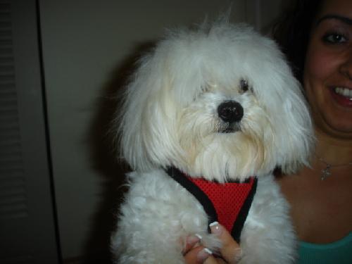 Sir Charles