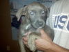 Ethel