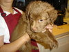 Lucy